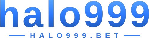 halo999 logo